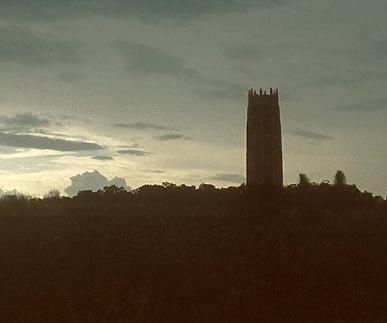 Bok Tower, Lake Wales, FL