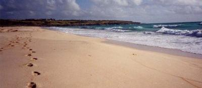 Footprints on the beach.