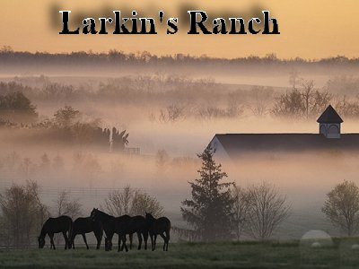 cover for Larkin's Ranch