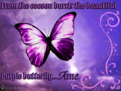 Purple butterfly