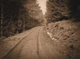 New Knox Road from Village of Knox into The Big Forest