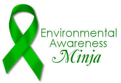 Environmental awarness