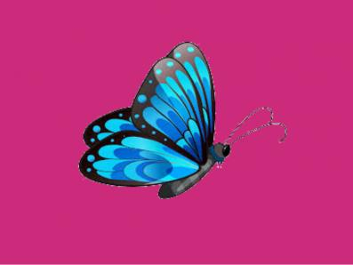 Blue with pink background