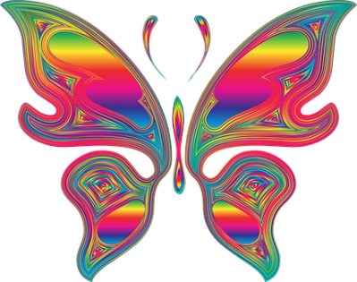 Color Butterfly