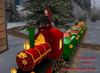 Megan on Christmas train Sig by best friend Angel. 