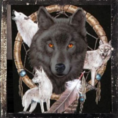 Neat Dream Catcher Of Wolves By Best Friend Angel.