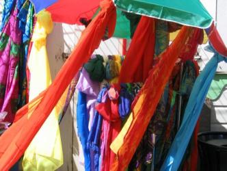 Pretty Colors ~ Vibrant colors on a windy day.